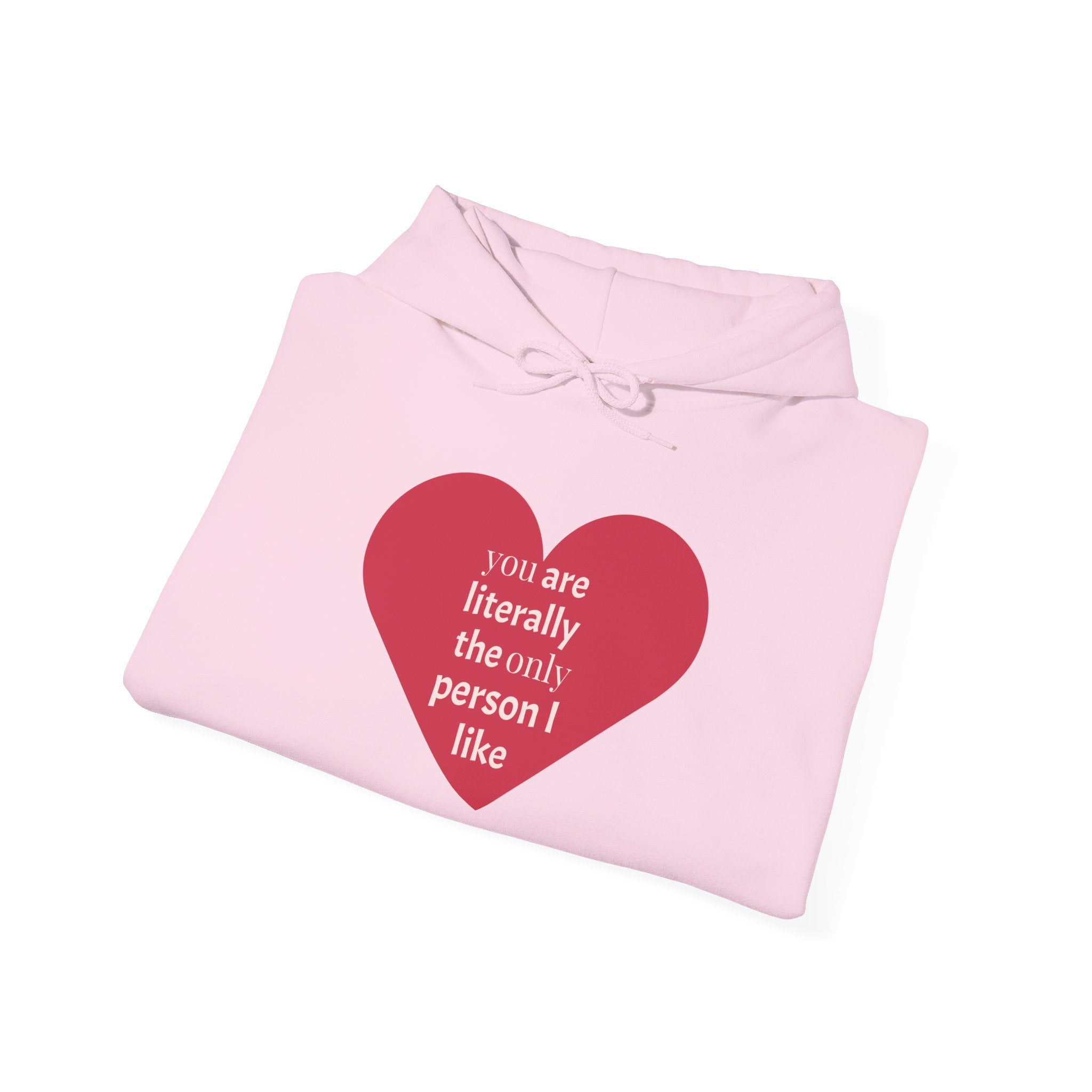 Funny Introvert Hoodie for The only person you like!