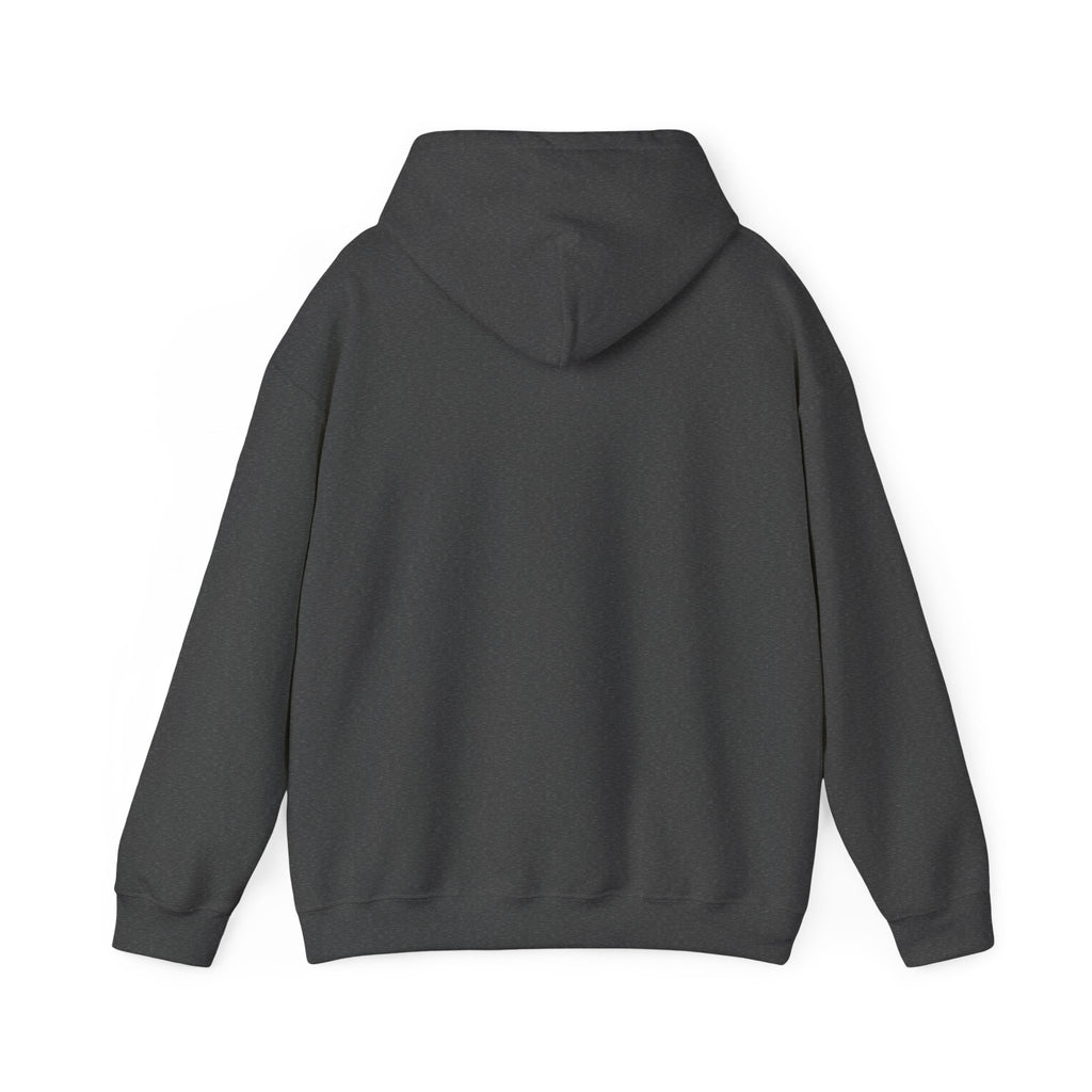 Funny Introvert Hoodie for The only person you like!