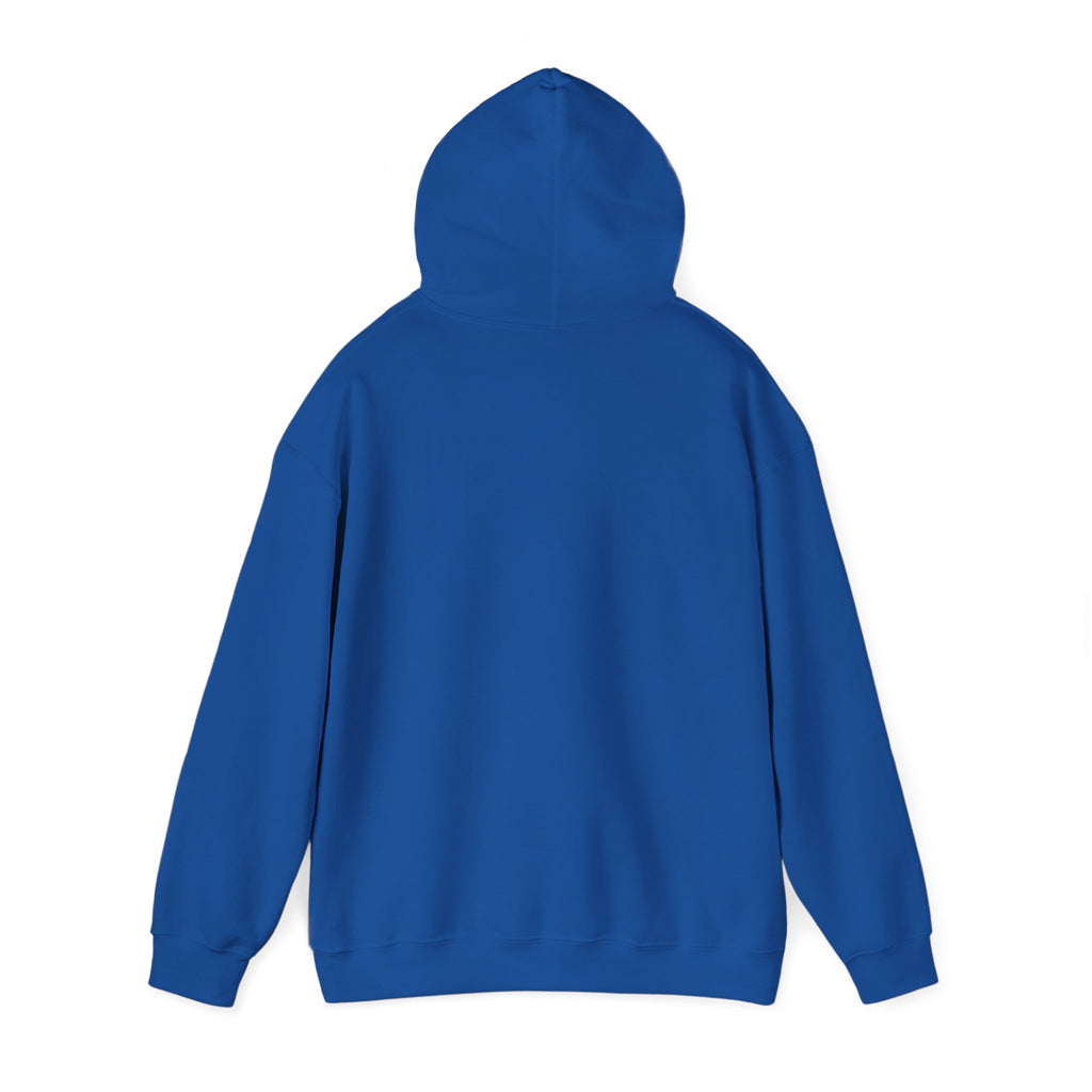Funny Introvert Hoodie for The only person you like!