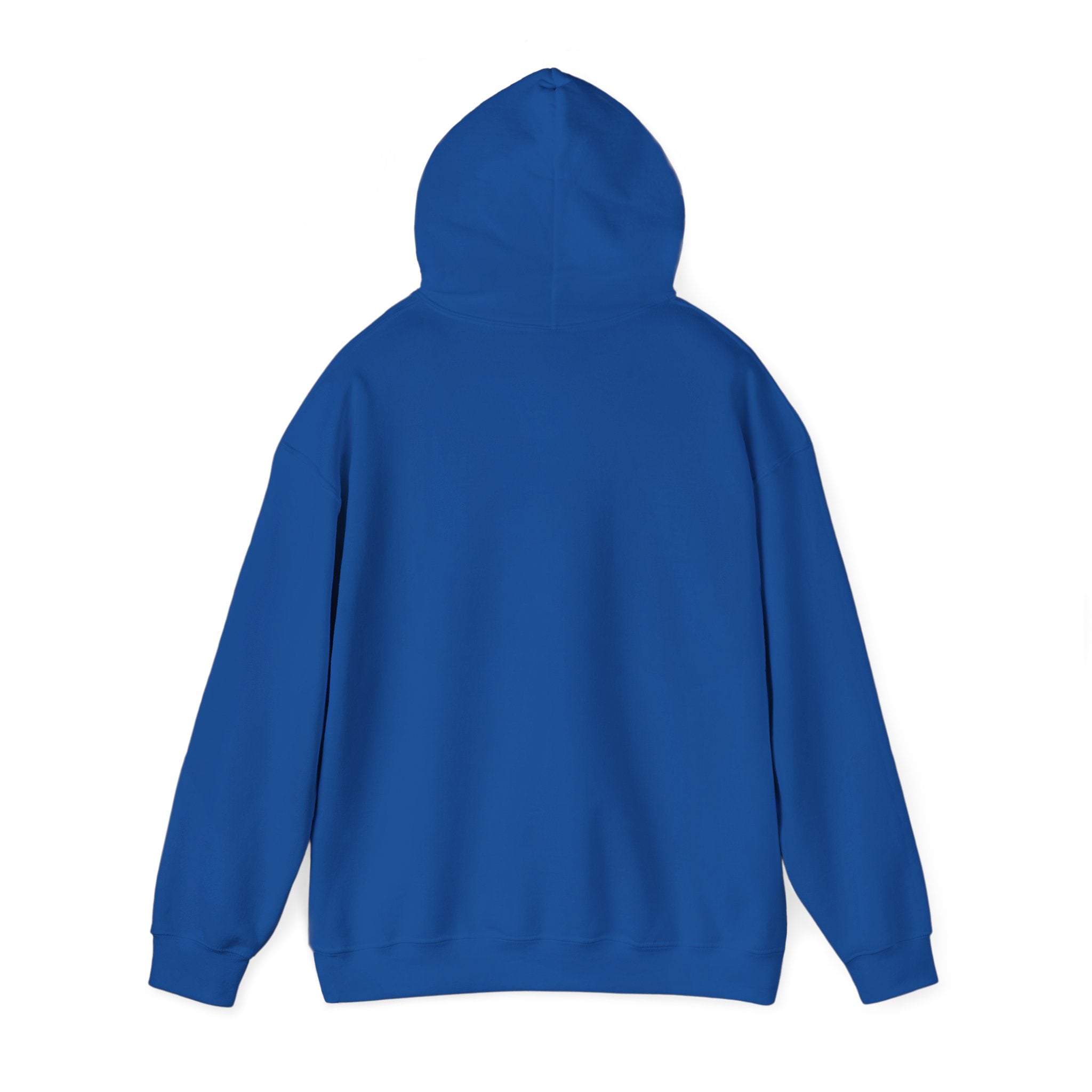Funny Introvert Hoodie for The only person you like!