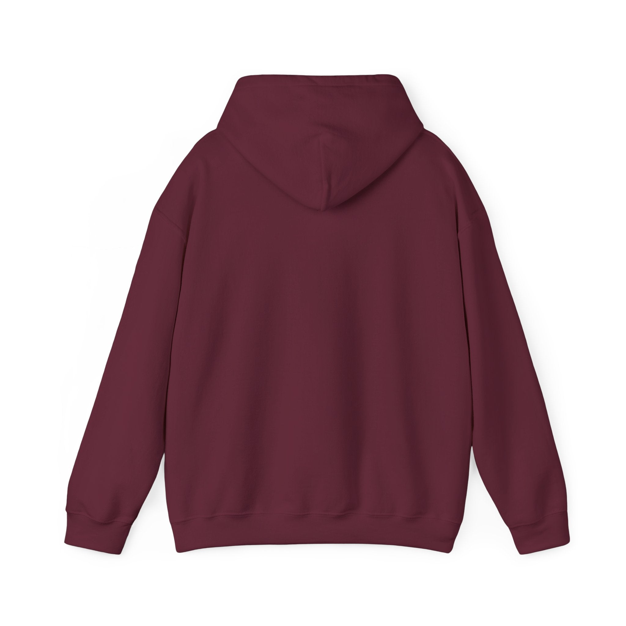 Funny Introvert Hoodie for The only person you like!
