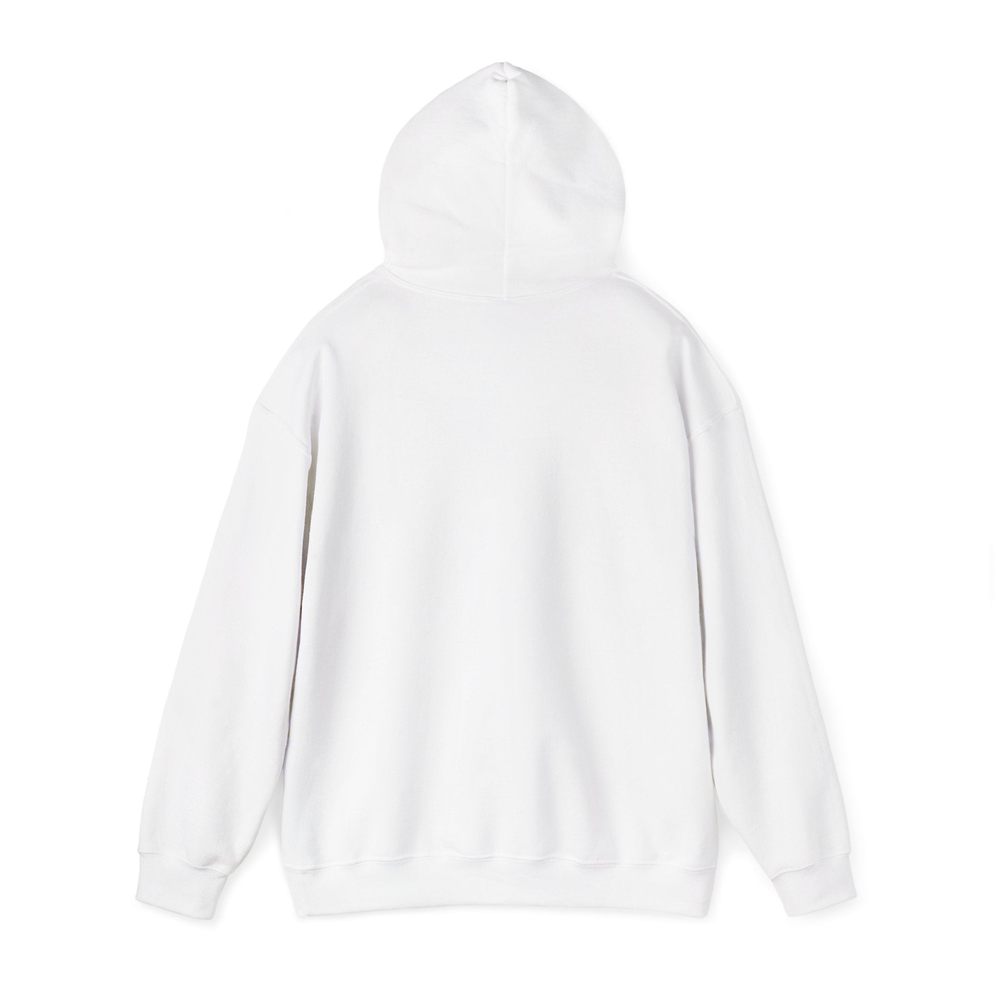 Funny Introvert Hoodie for The only person you like!