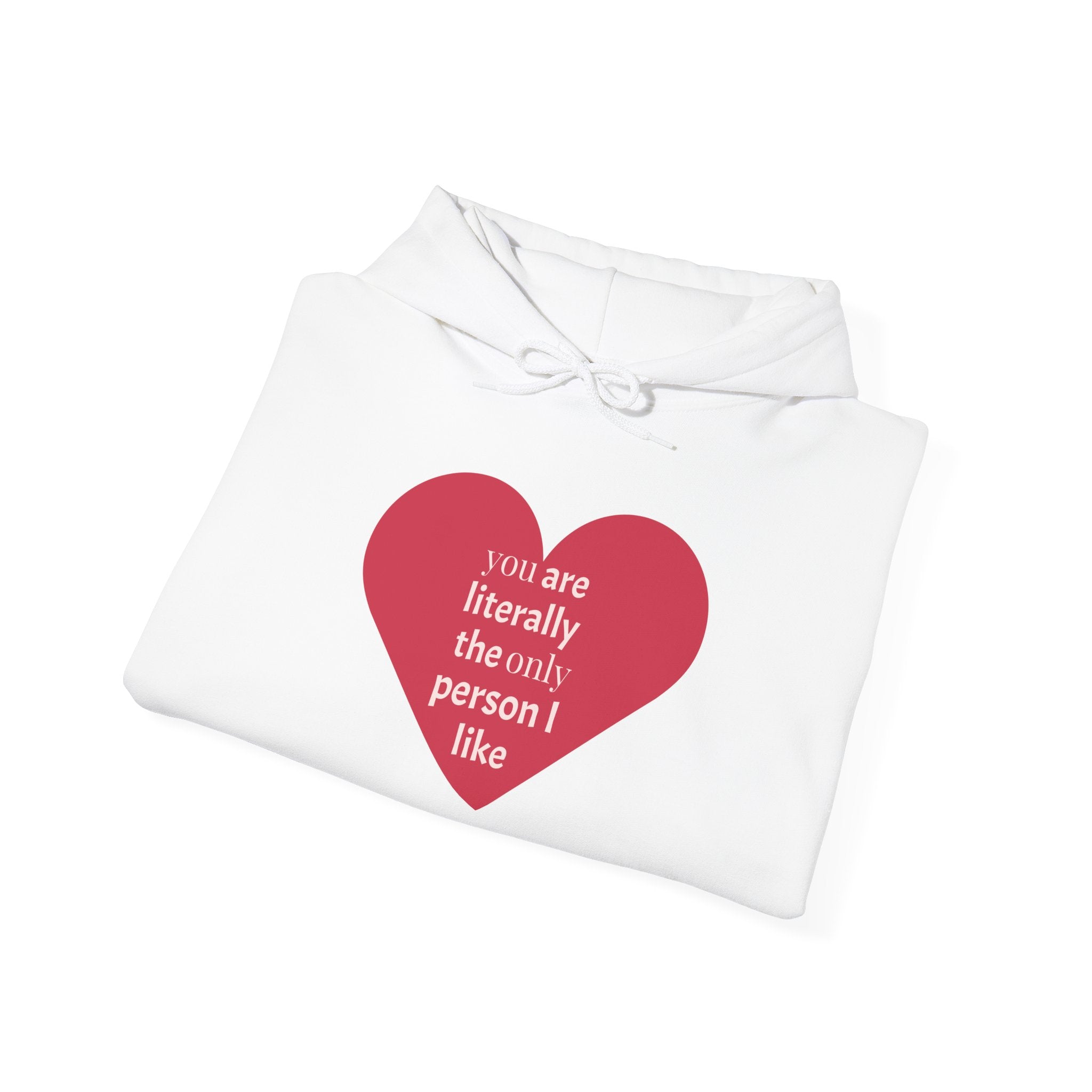 Funny Introvert Hoodie for The only person you like!