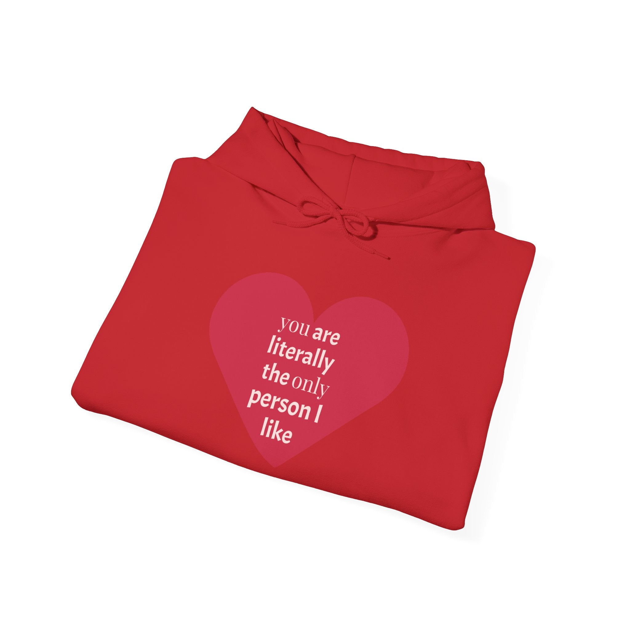 Funny Introvert Hoodie for The only person you like!