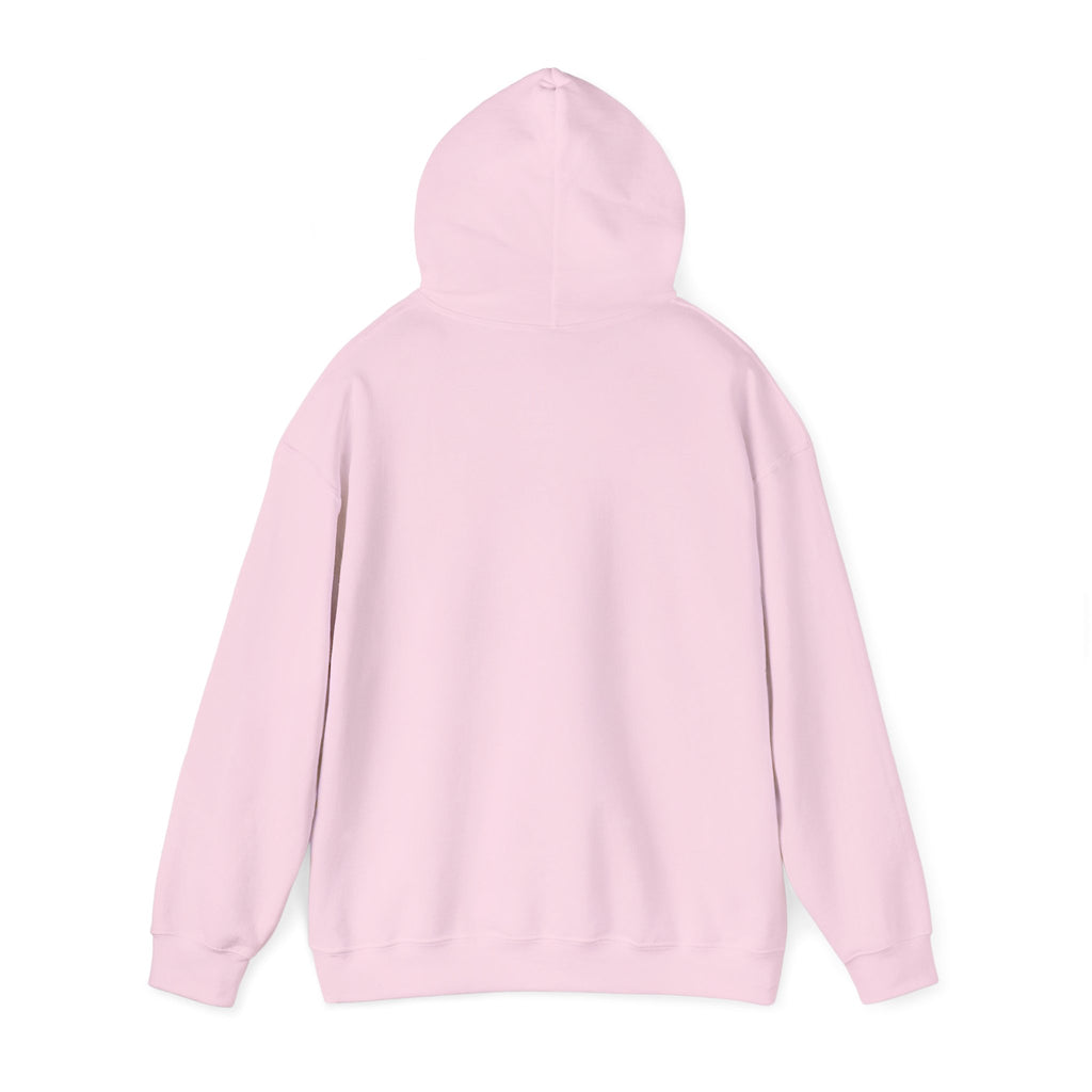 Funny Introvert Hoodie for The only person you like!
