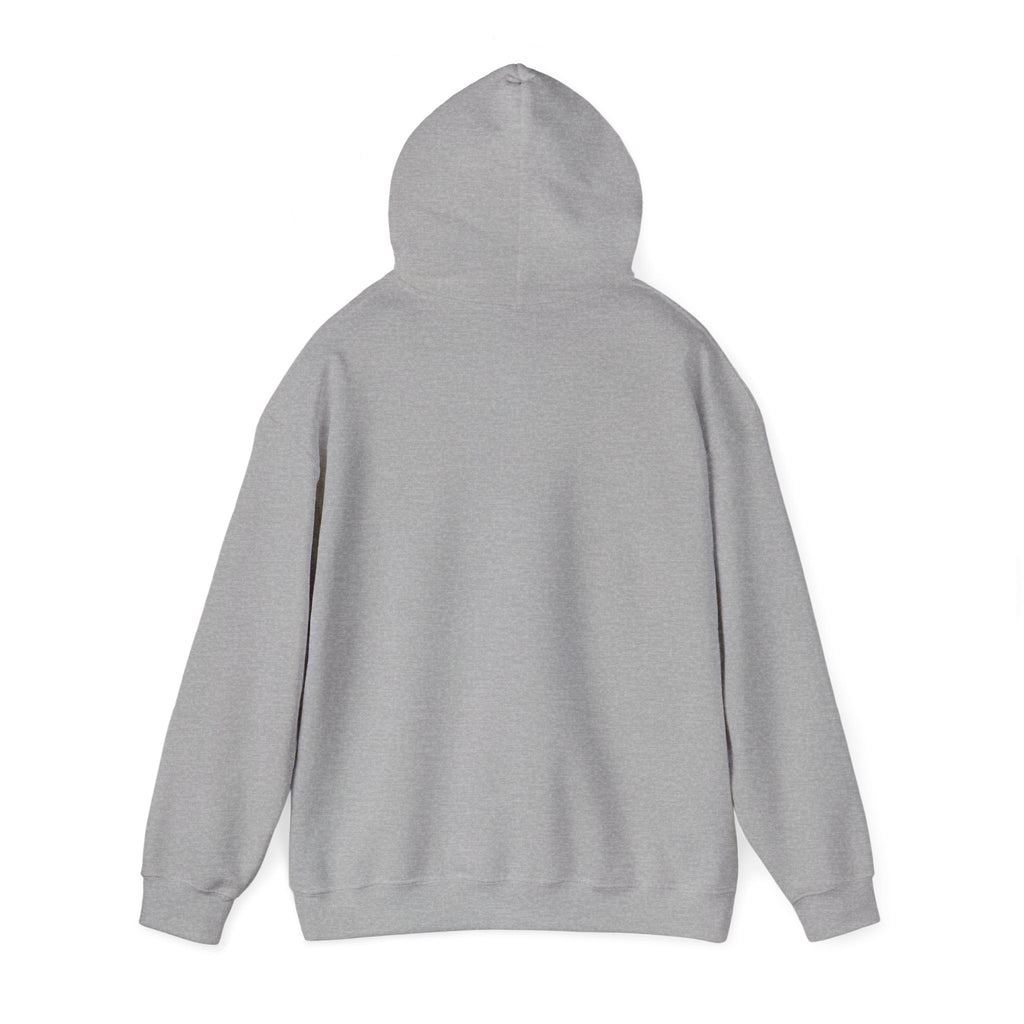 Funny Introvert Hoodie for The only person you like!