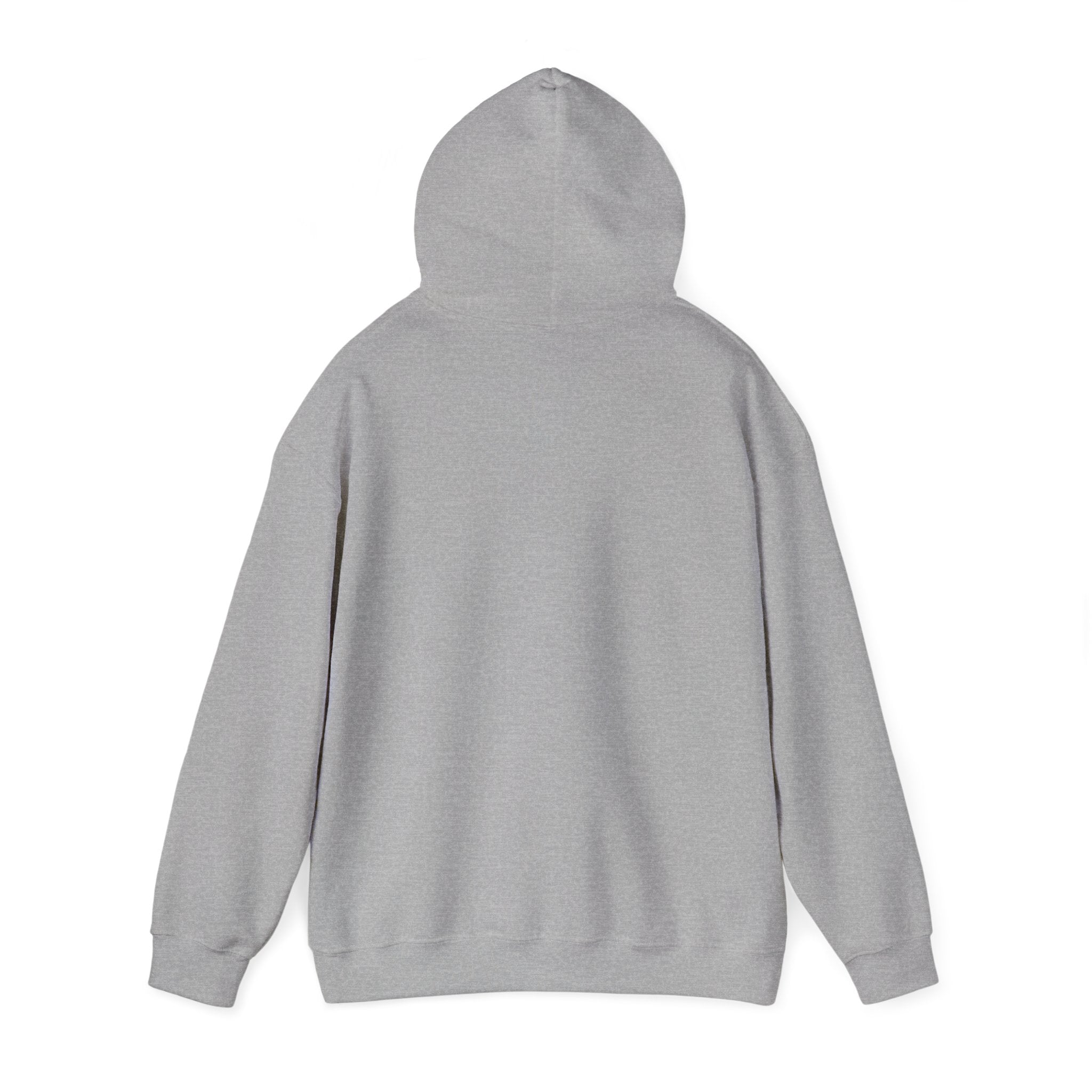 Funny Introvert Hoodie for The only person you like!
