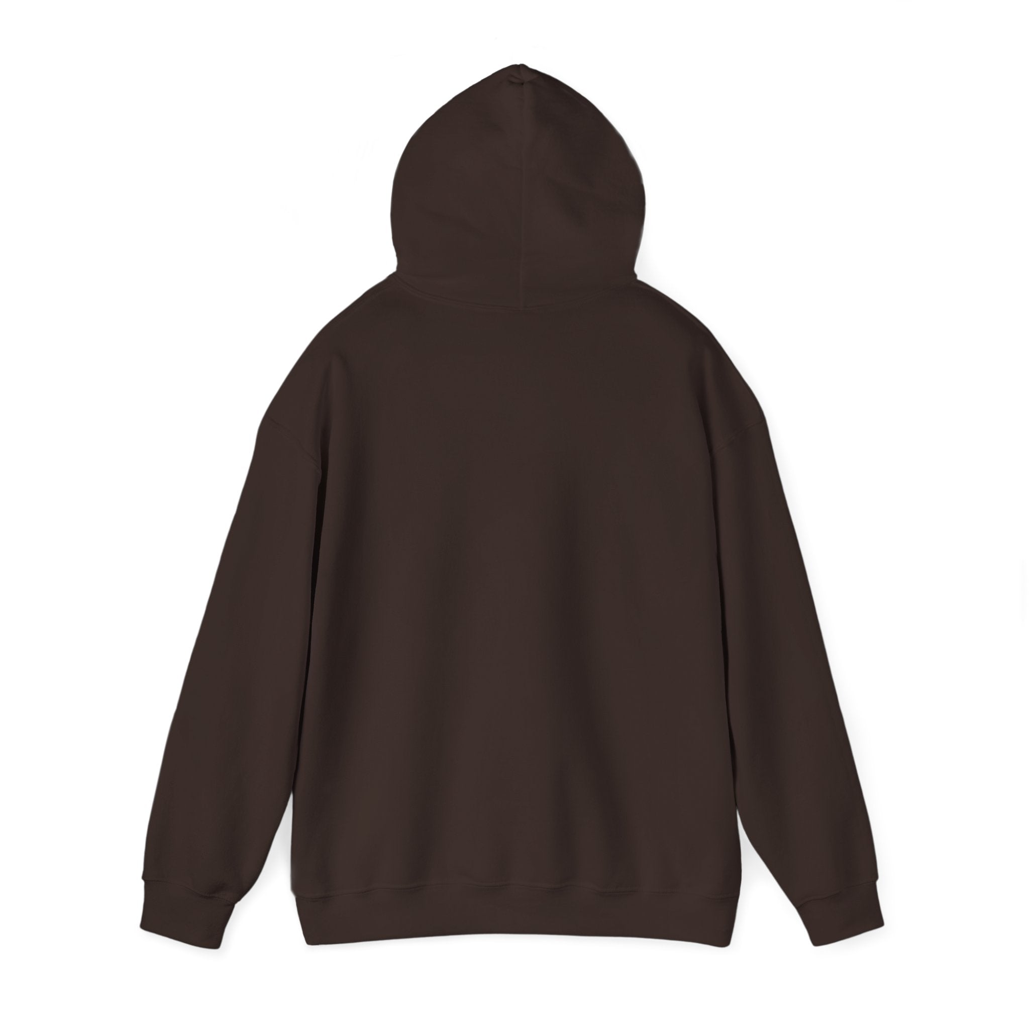 Funny Introvert Hoodie for The only person you like!