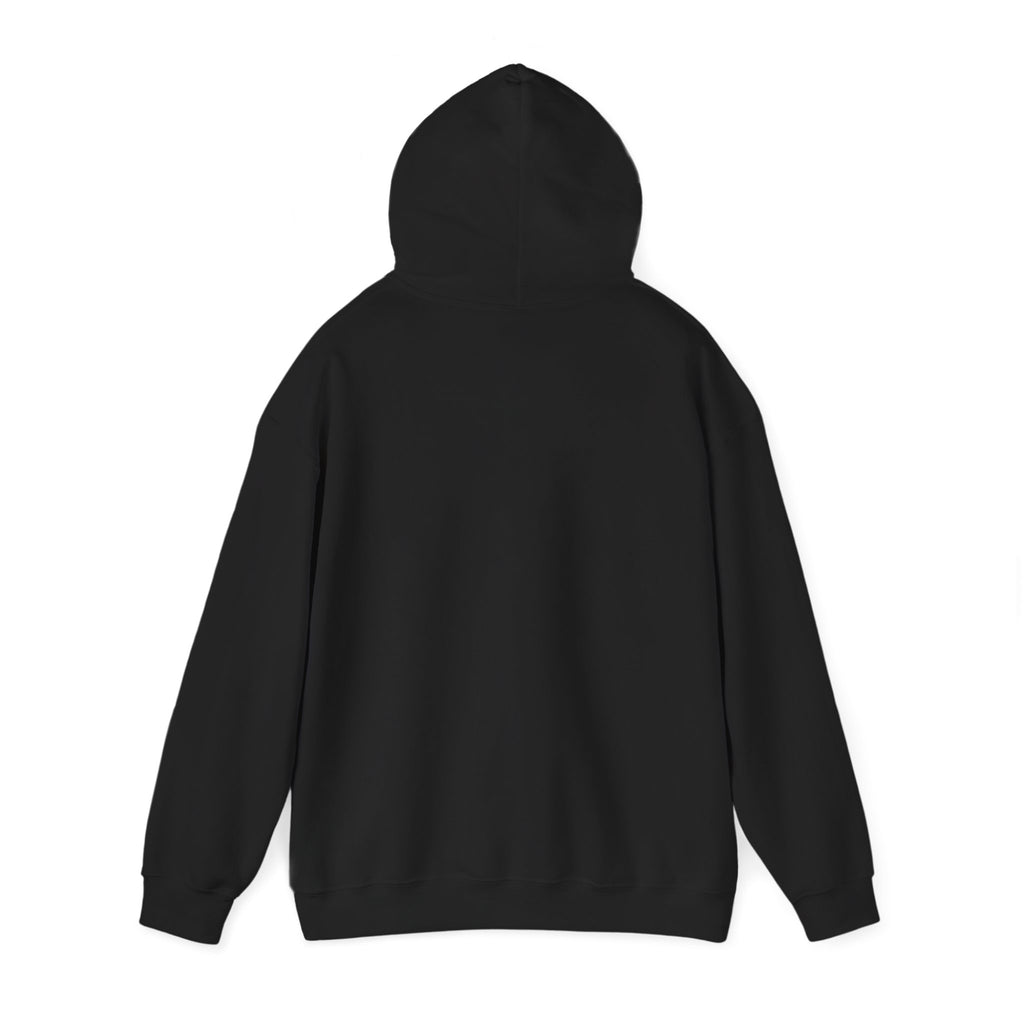 Funny Introvert Hoodie for The only person you like!