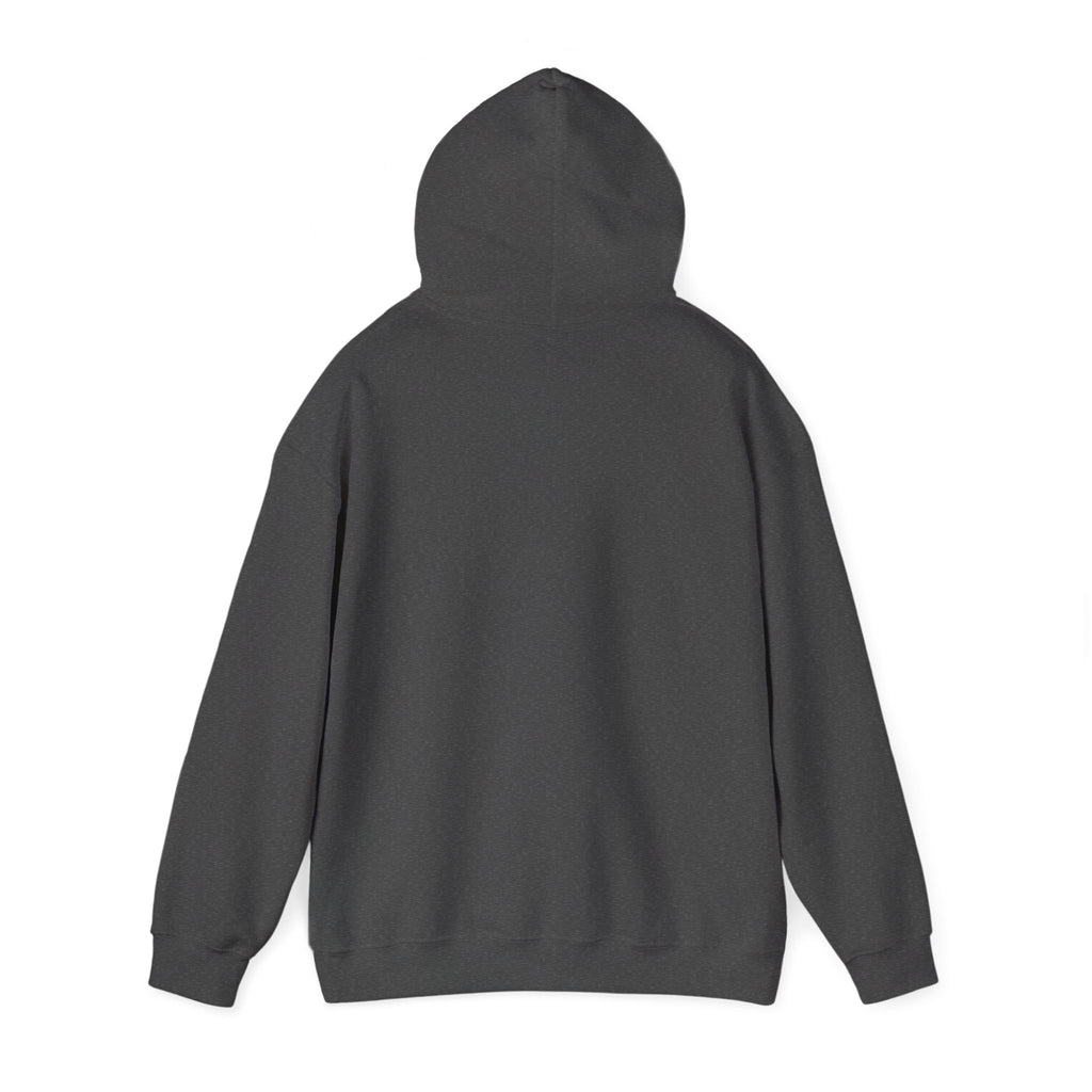 Funny Introvert Hoodie for The only person you like!