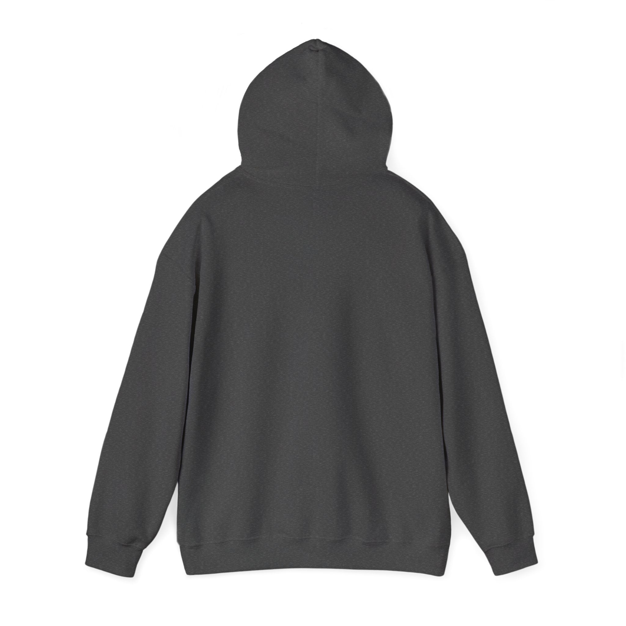 Funny Introvert Hoodie for The only person you like!
