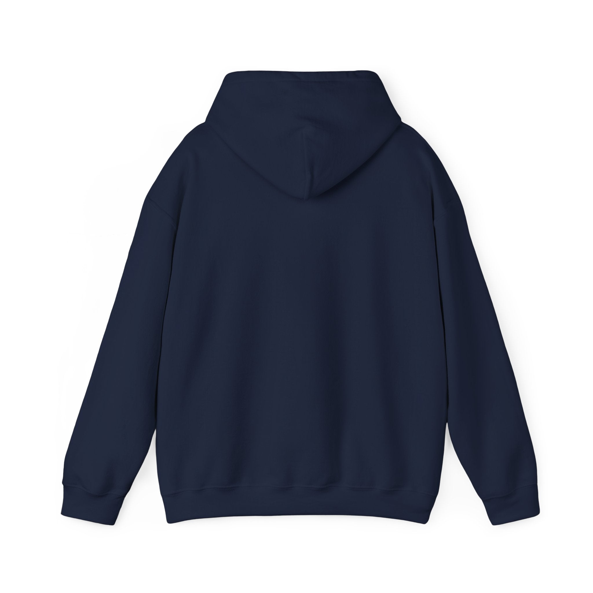 Funny Introvert Hoodie for The only person you like!