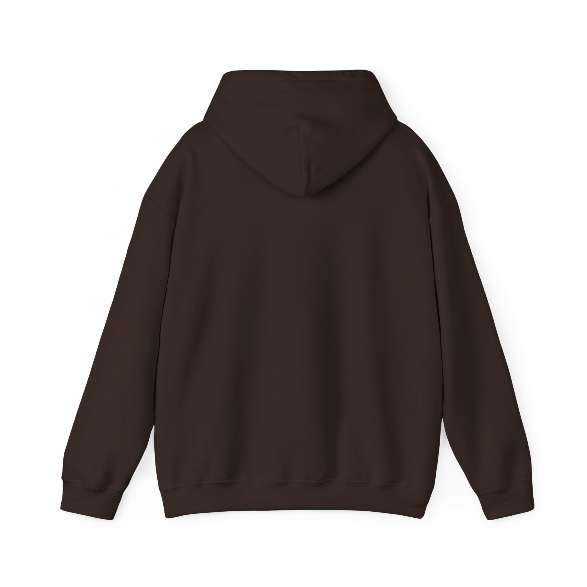 Funny Introvert Hoodie for The only person you like!