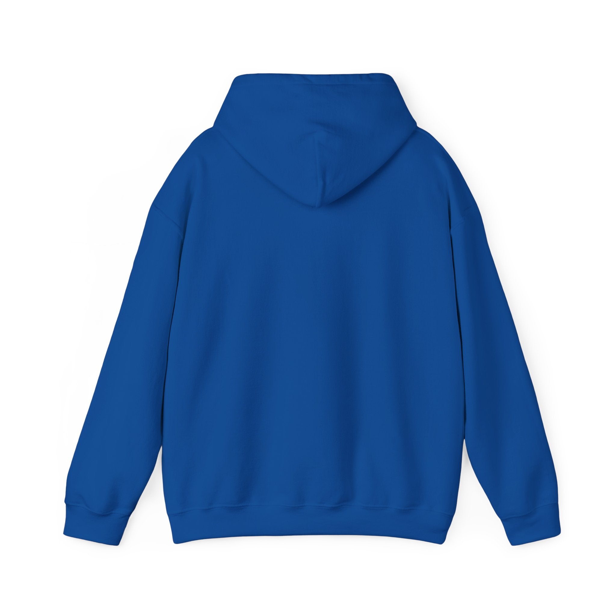 Funny Introvert Hoodie for The only person you like!
