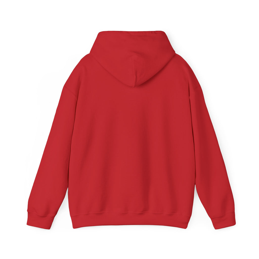 Funny Introvert Hoodie for The only person you like!