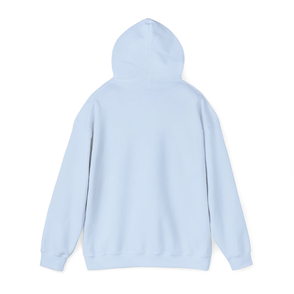 Funny Introvert Hoodie for The only person you like!