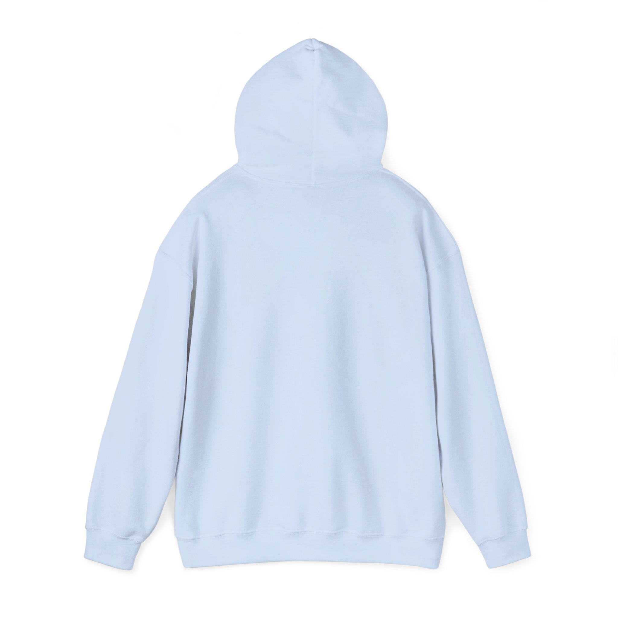 Funny Introvert Hoodie for The only person you like!