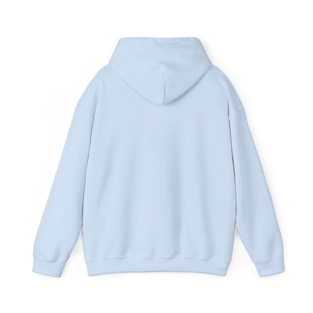 Funny Introvert Hoodie for The only person you like!
