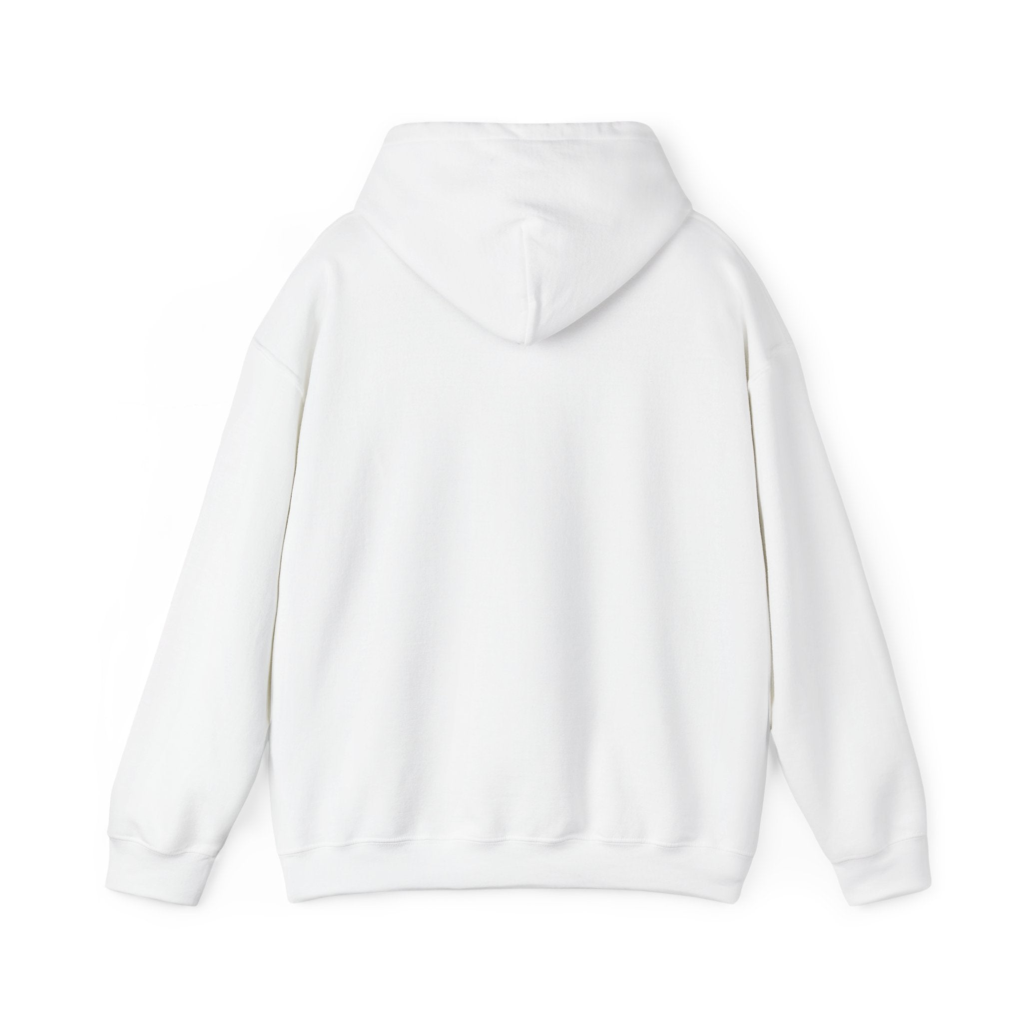 Funny Introvert Hoodie for The only person you like!