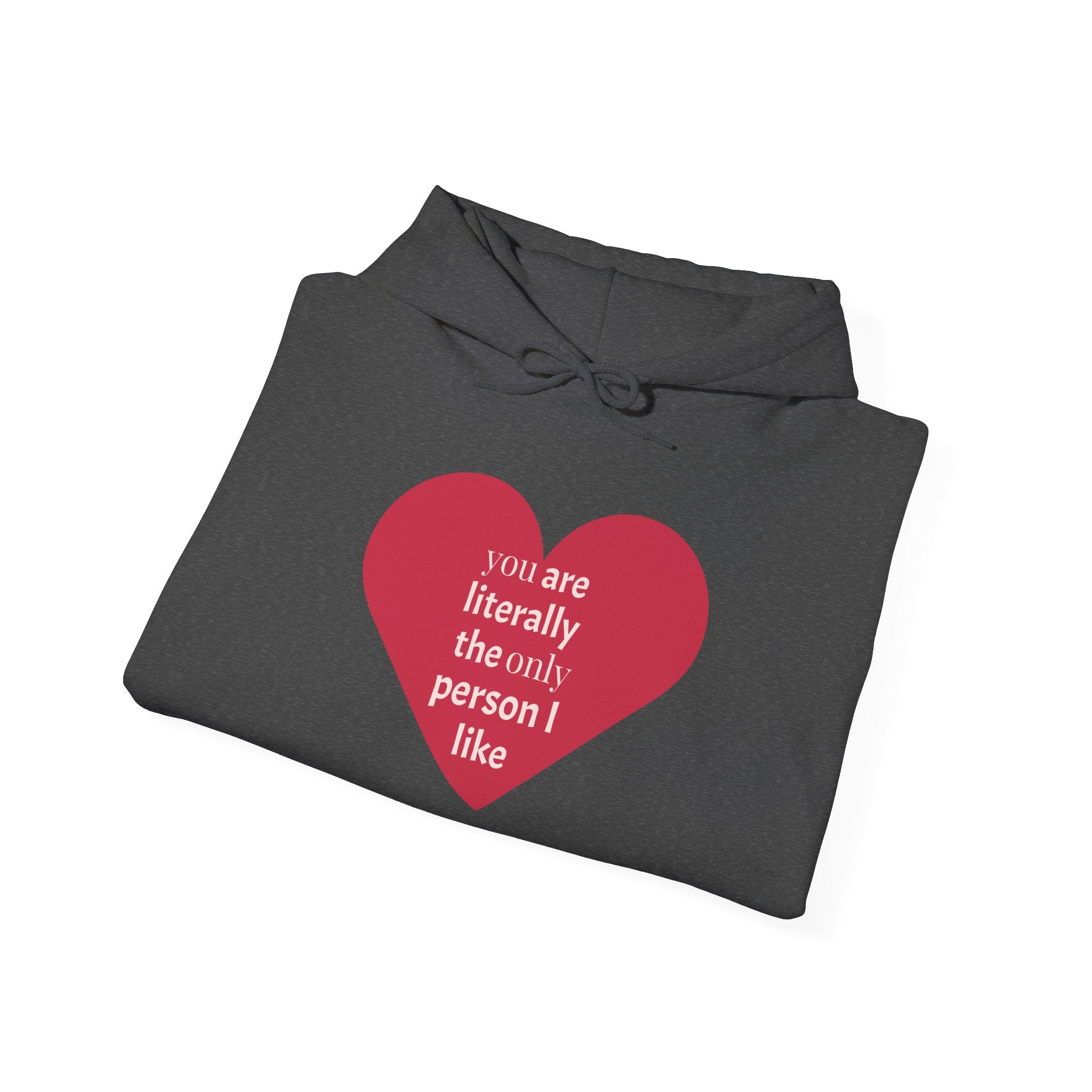 Funny Introvert Hoodie for The only person you like!