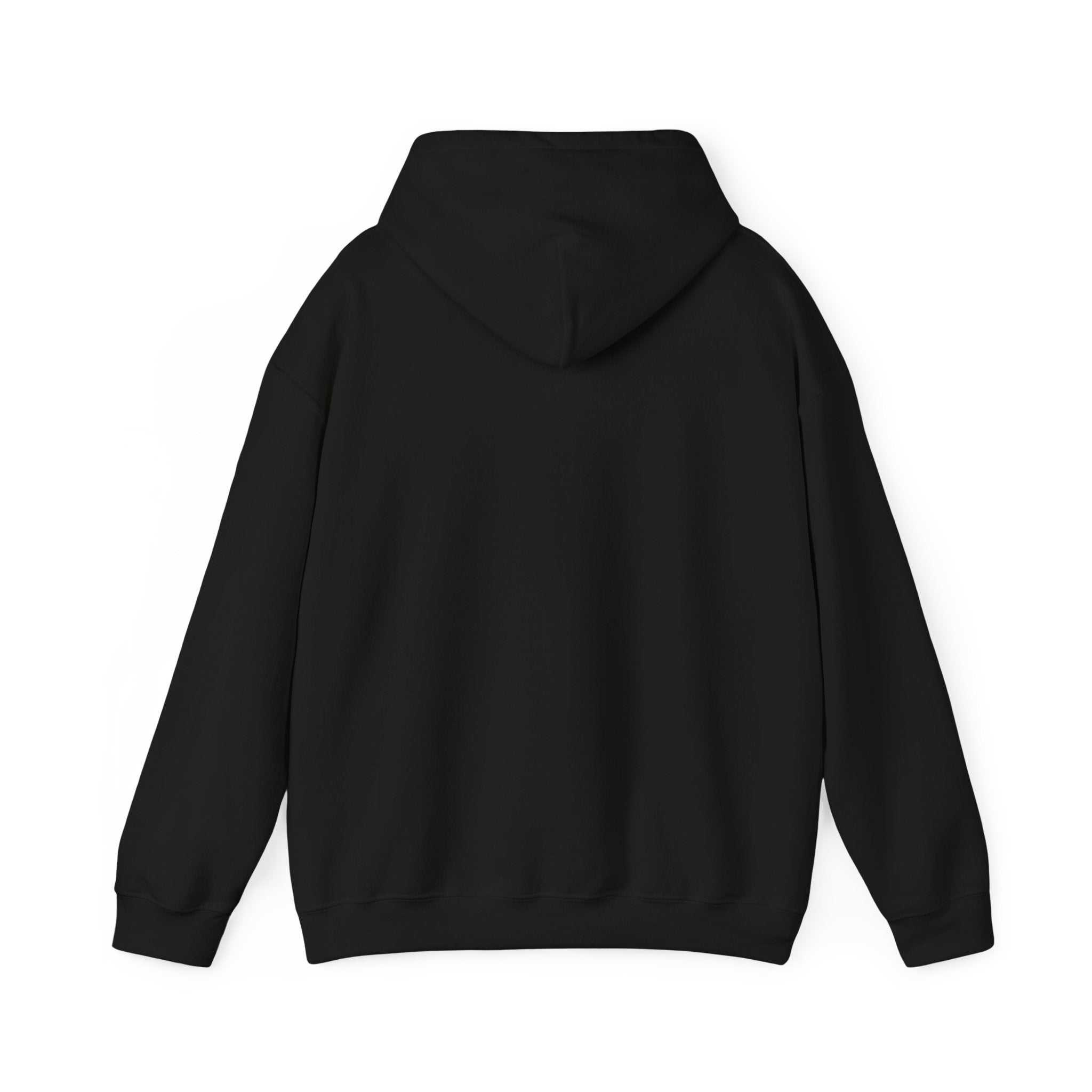 Funny Introvert Hoodie for The only person you like!