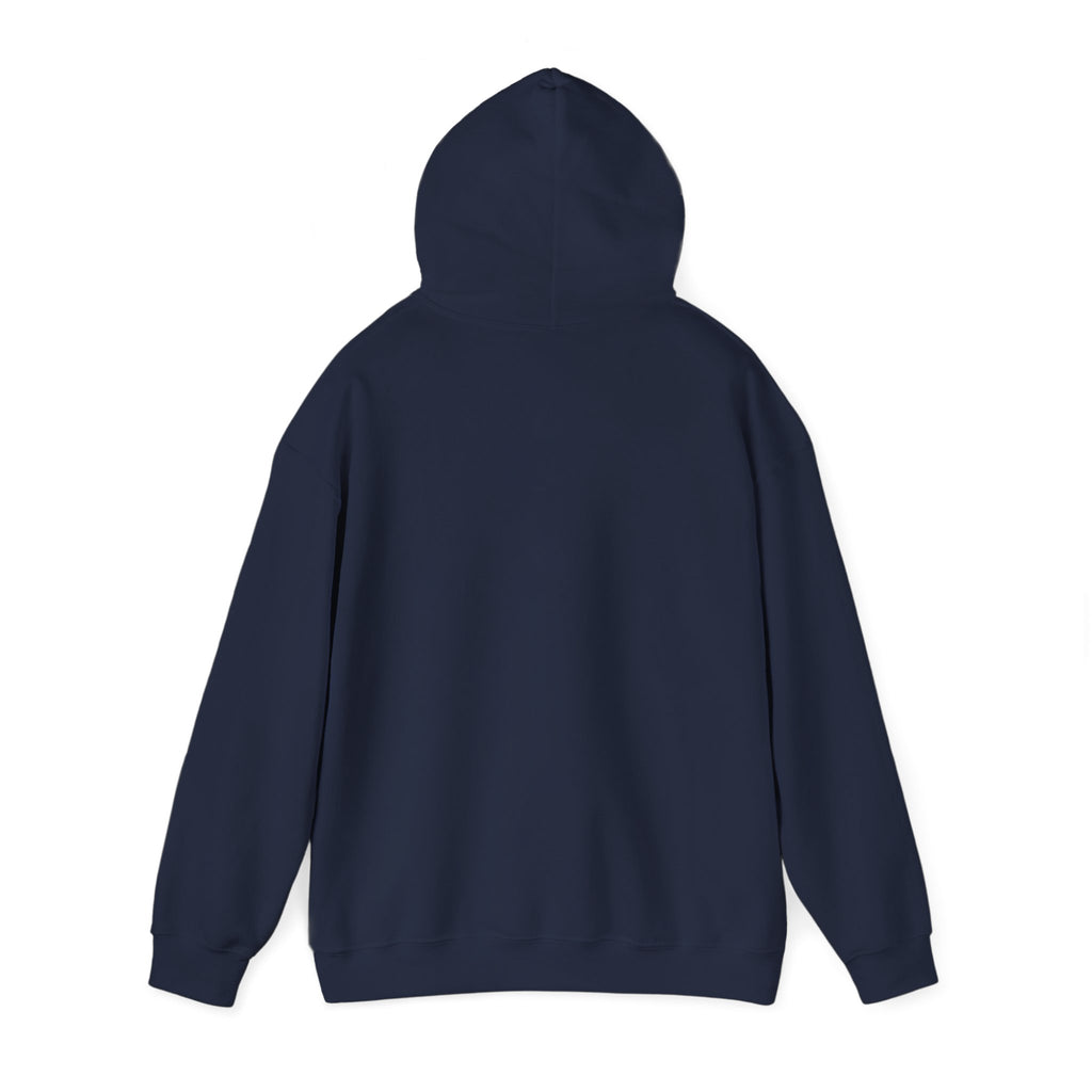 Funny Introvert Hoodie for The only person you like!