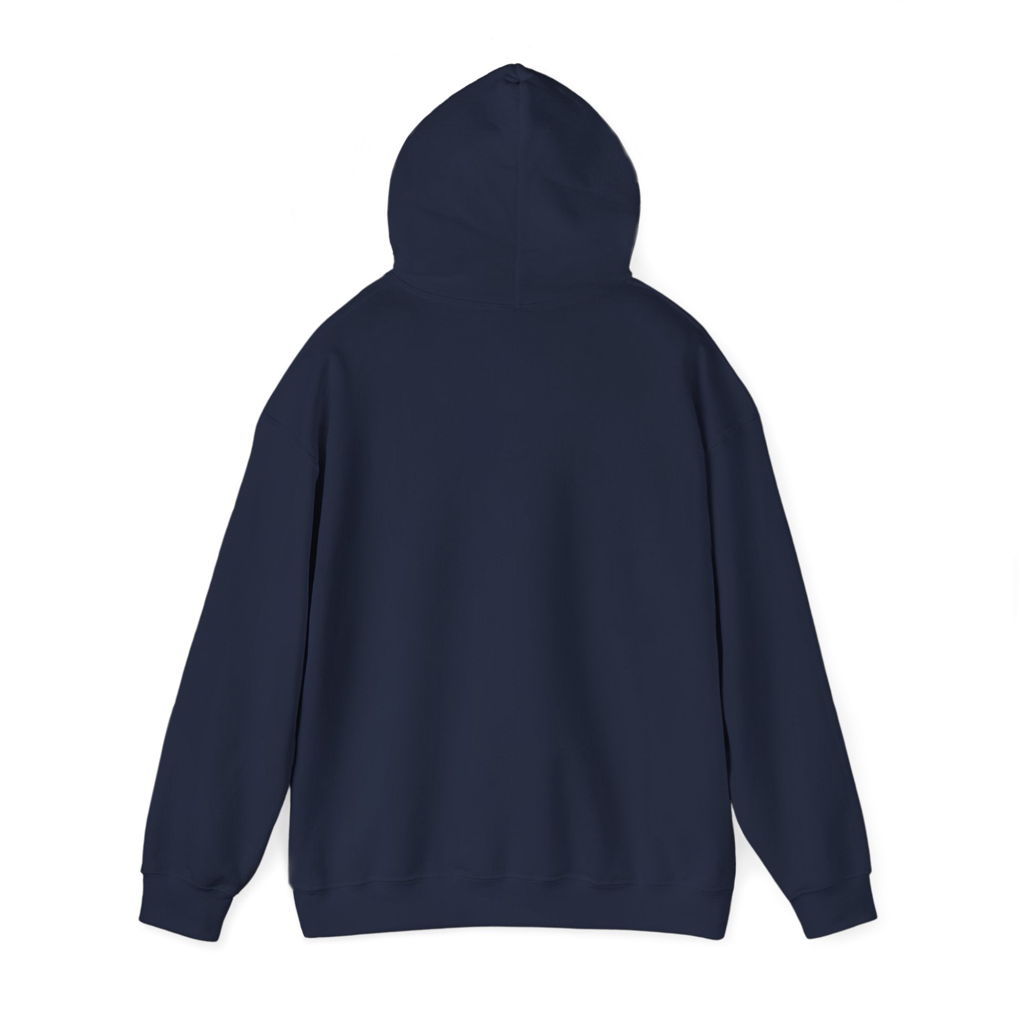 Funny Introvert Hoodie for The only person you like!