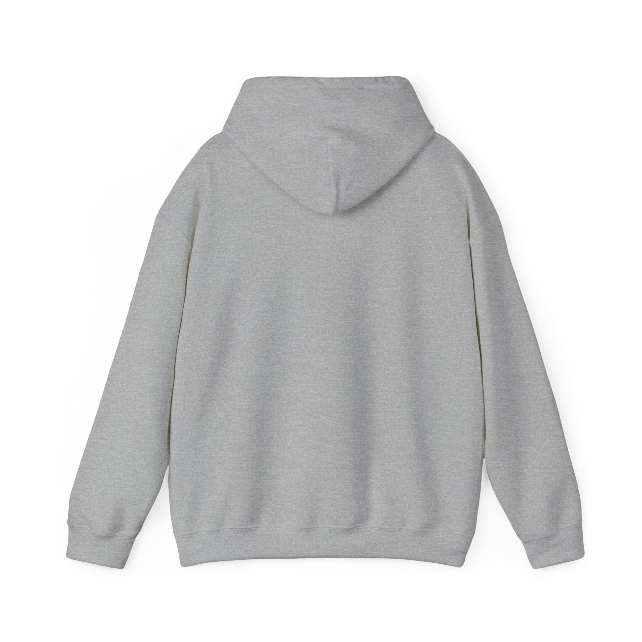 Funny Introvert Hoodie for The only person you like!