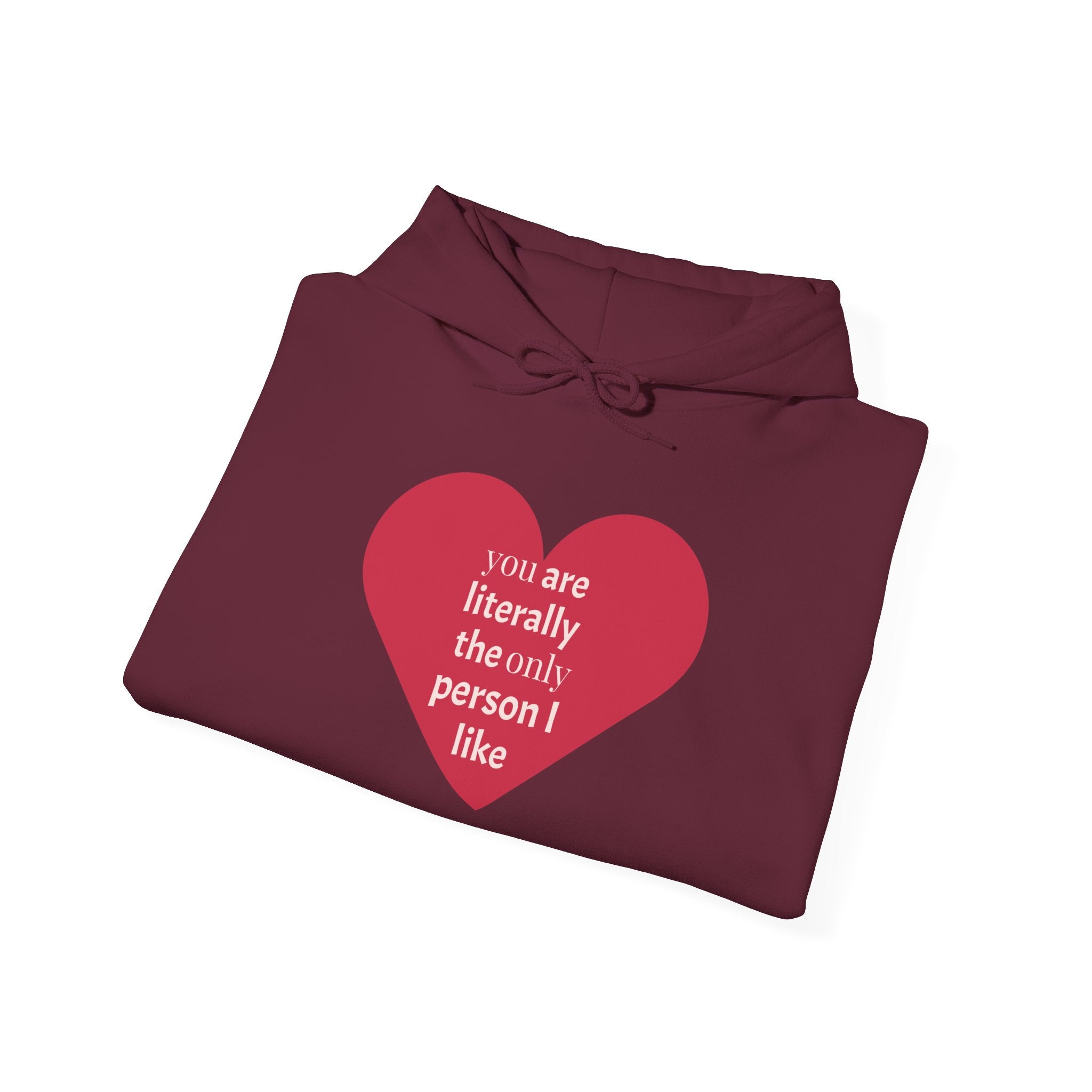 Funny Introvert Hoodie for The only person you like!