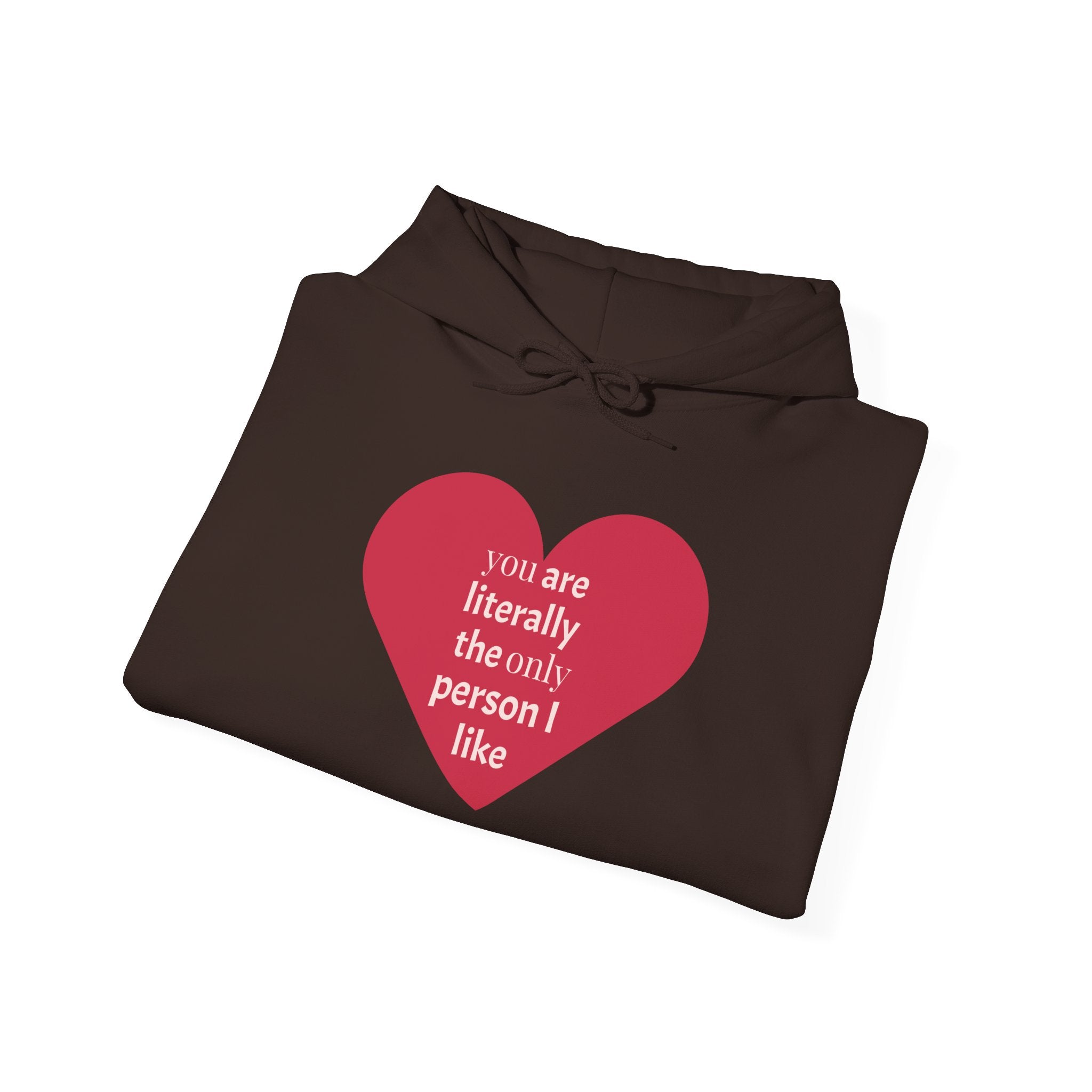 Funny Introvert Hoodie for The only person you like!