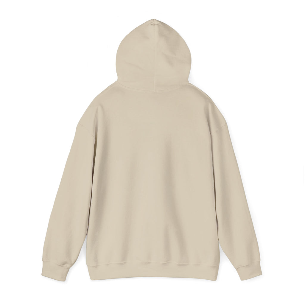 Funny Introvert Hoodie for The only person you like!