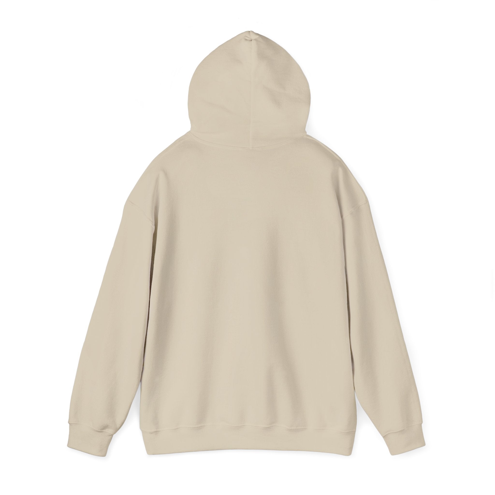 Funny Introvert Hoodie for The only person you like!
