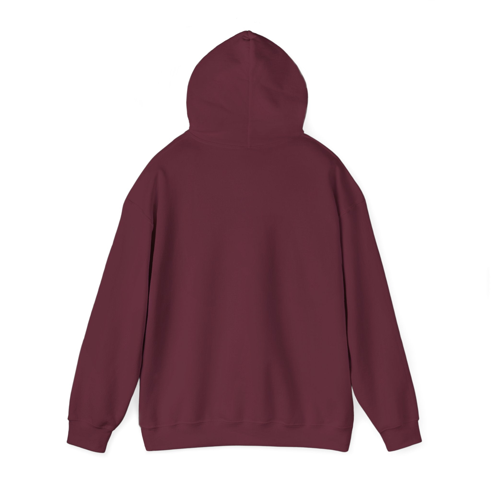 Funny Introvert Hoodie for The only person you like!