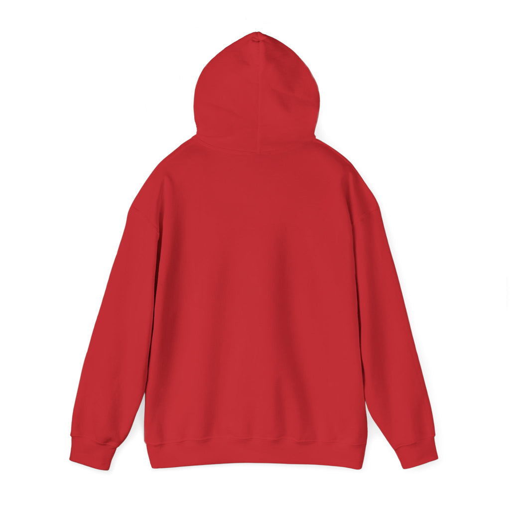 Funny Introvert Hoodie for The only person you like!